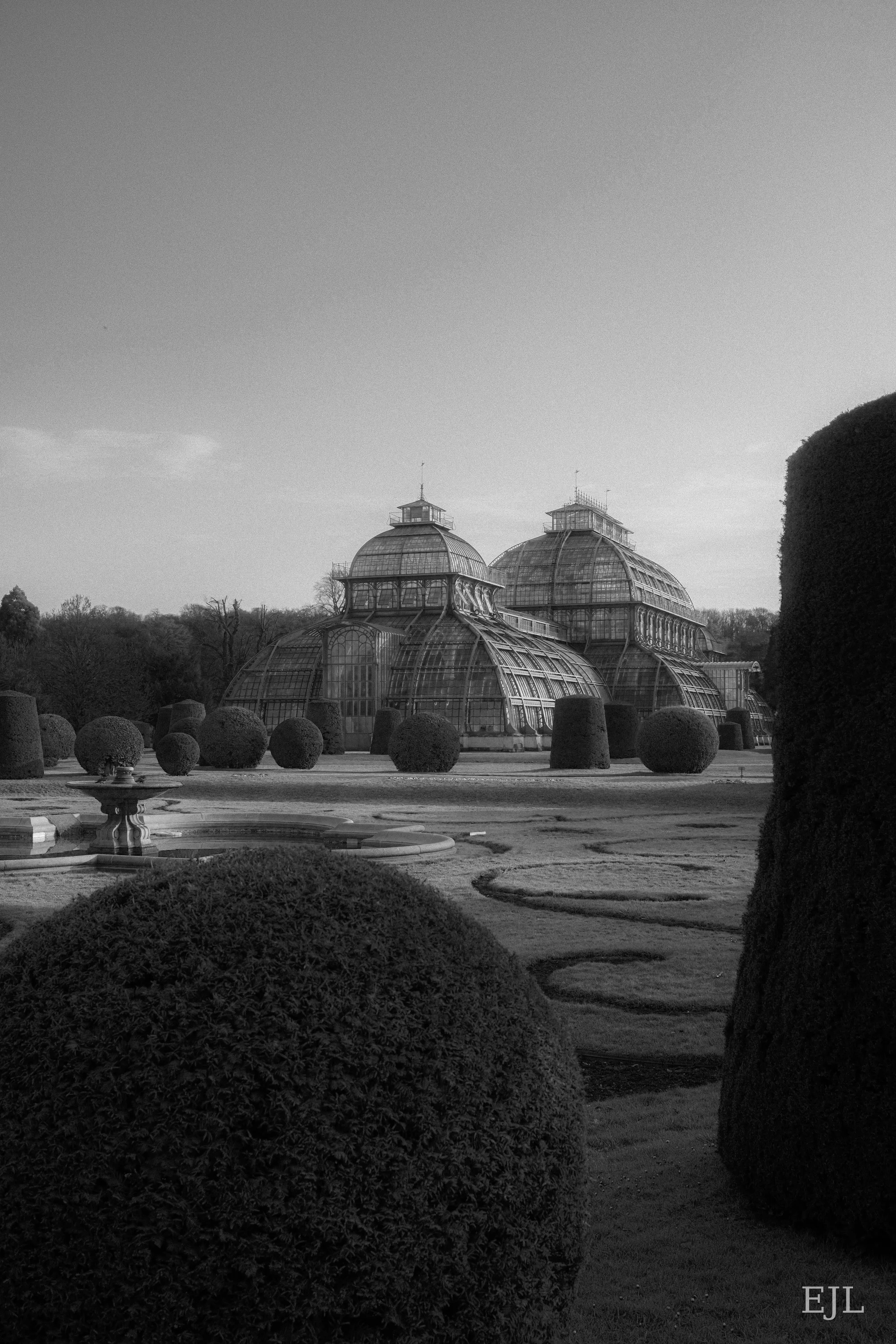 Palmenhaus