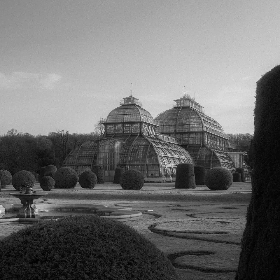 Black-and-white view of the Palmenhaus glasshouse beyond clipped garden hedges