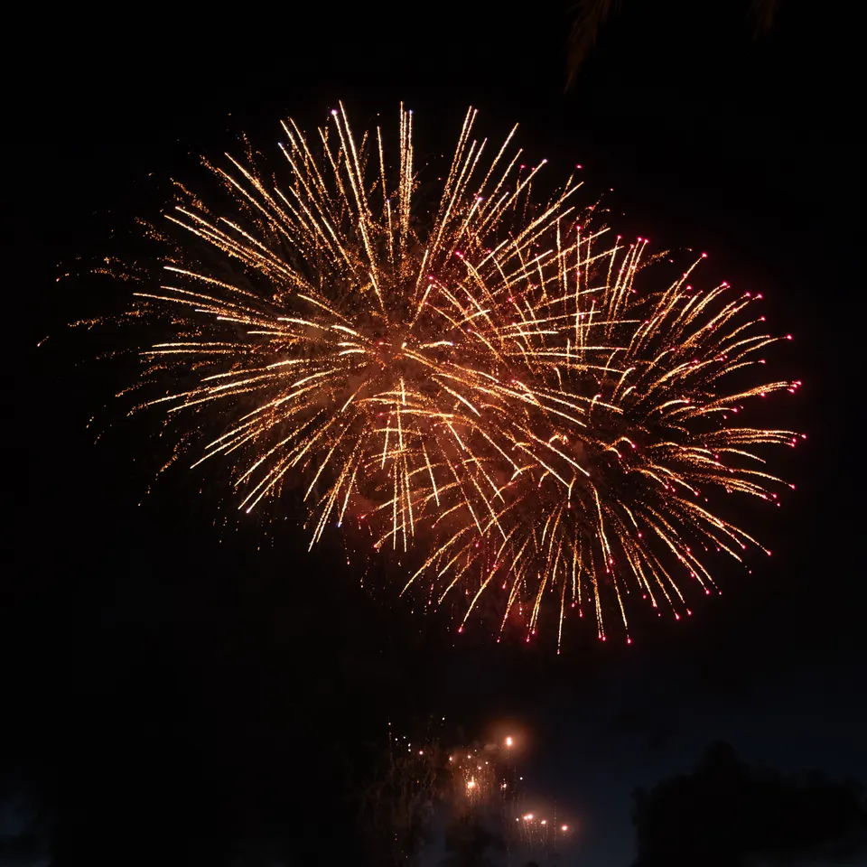 Golden fireworks bursting against the night sky